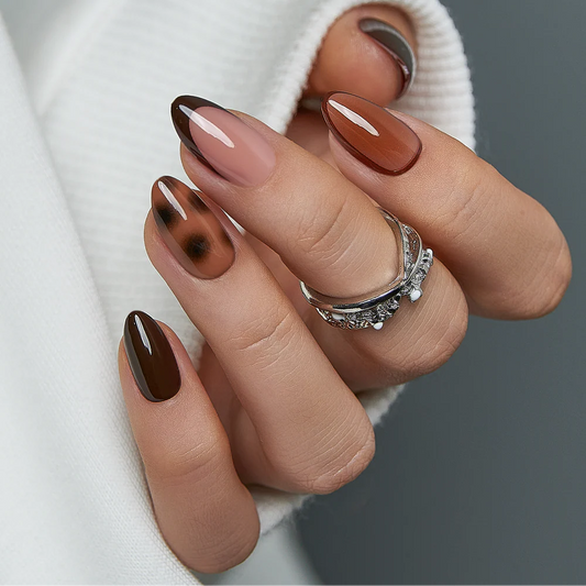 Amber Shell – S Almond(Gift Glue)