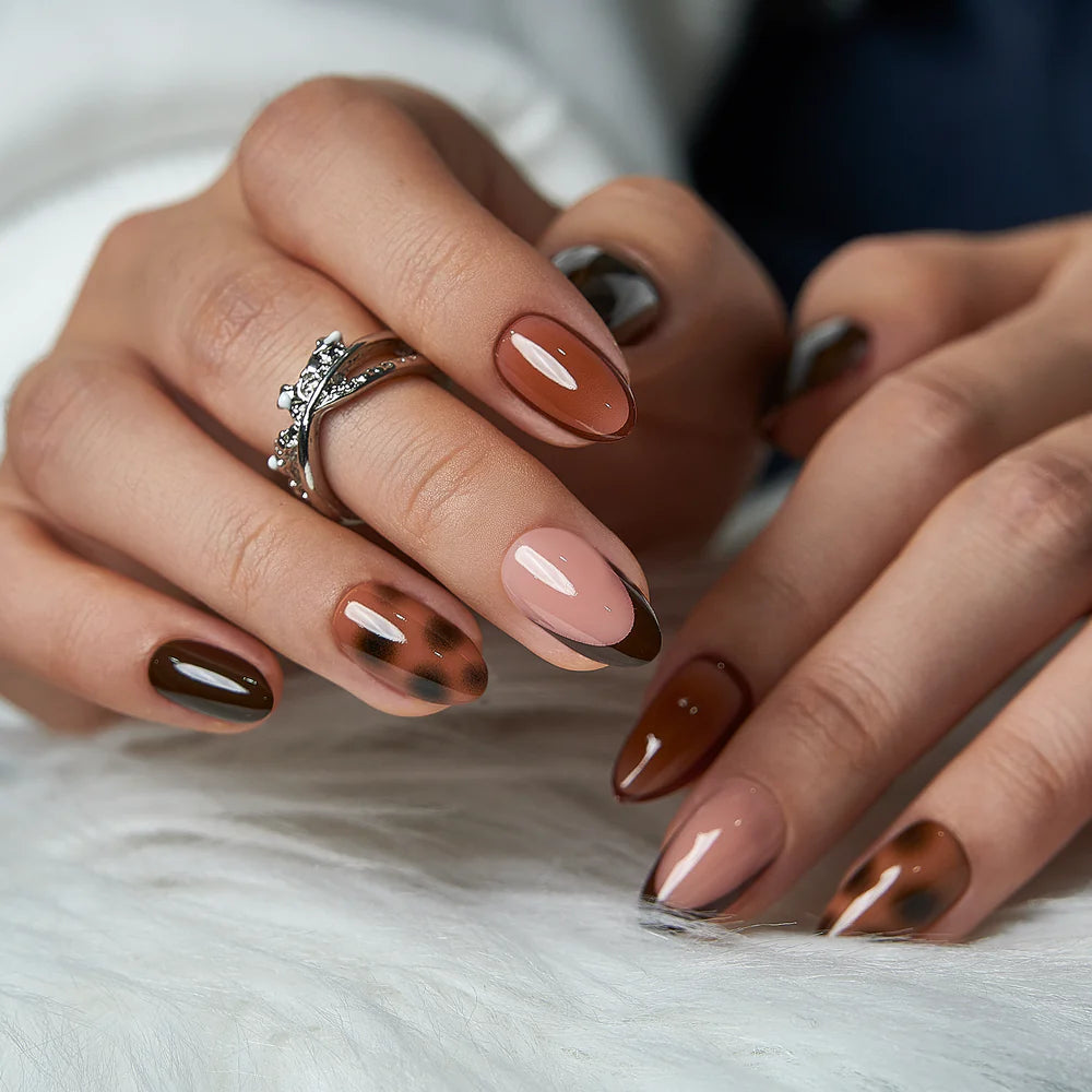 Amber Shell – S Almond（Gift Glue）