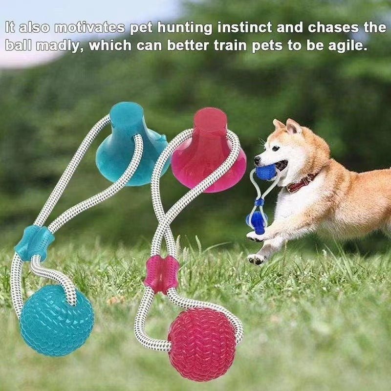 Multifunction Pet Molar Bite Toy