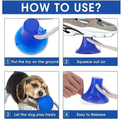 Multifunction Pet Molar Bite Toy