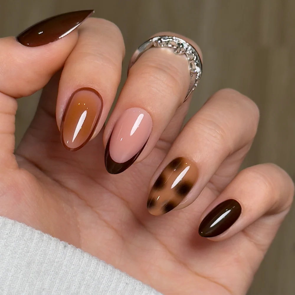 Amber Shell – S Almond（Gift Glue）